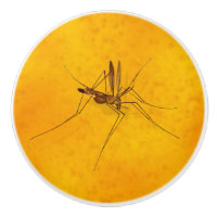 Mosquito in Amber Sap Fossil Replica Prehistoric