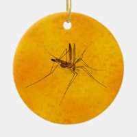 Mosquito in Amber Sap Fossil Replica Prehistoric