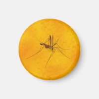 Mosquito in Amber Sap Fossil Replica Prehistoric