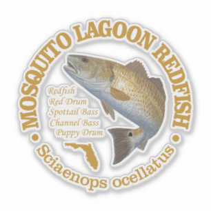 Mosquito Lagoon (redfish)