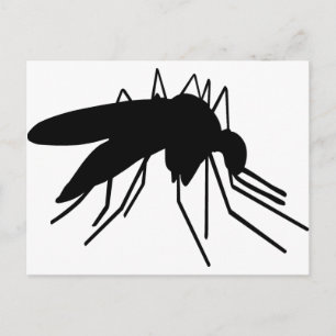Mosquito Postcard