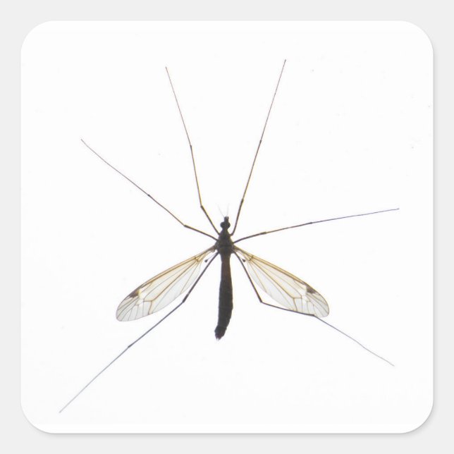 Mosquito Square Sticker (Front)