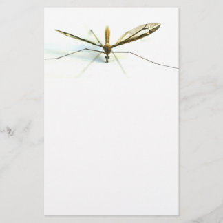 mosquito stationery