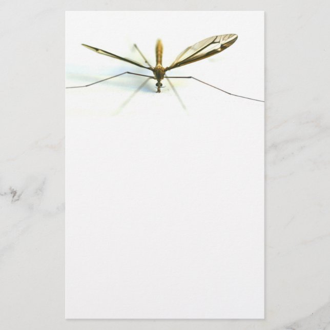 mosquito stationery (Front)