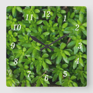 Moss Abstract Wall Clock