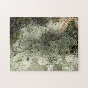 Moss and Lichen on Rock Jigsaw Puzzle