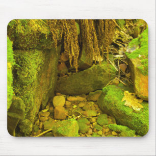 Moss and Stone – Hungarian Falls, Upper Peninsula Mouse Mat