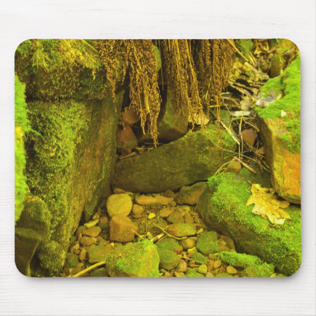 Moss and Stone – Hungarian Falls, Upper Peninsula Mouse Mat (Front)