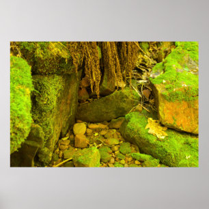 Moss and Stone – Hungarian Falls, Upper Peninsula Poster
