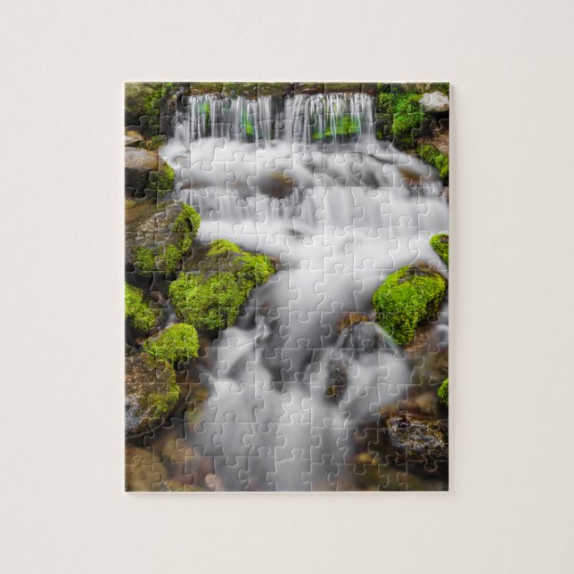 Moss Around Fern Spring Jigsaw Puzzle (Vertical)