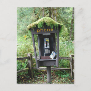 Moss covered phone booth postcard