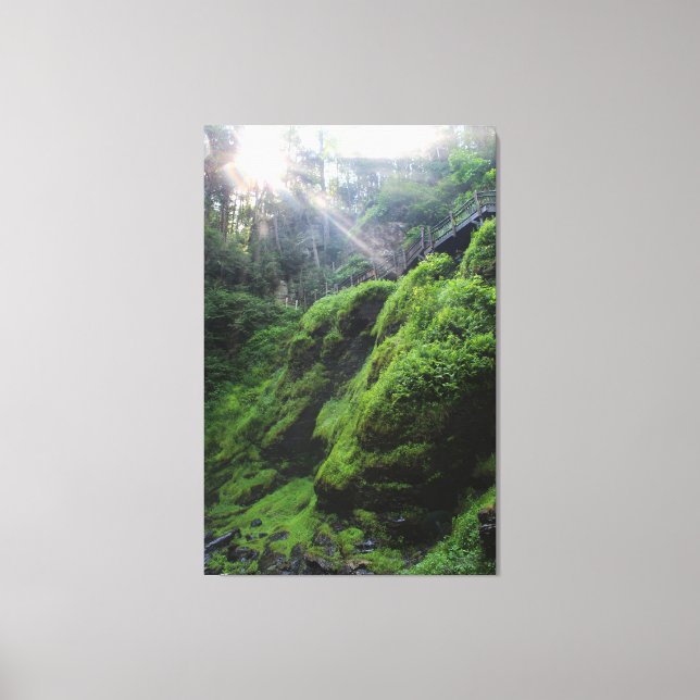 Moss Covered Rocks Canvas Print (Front)