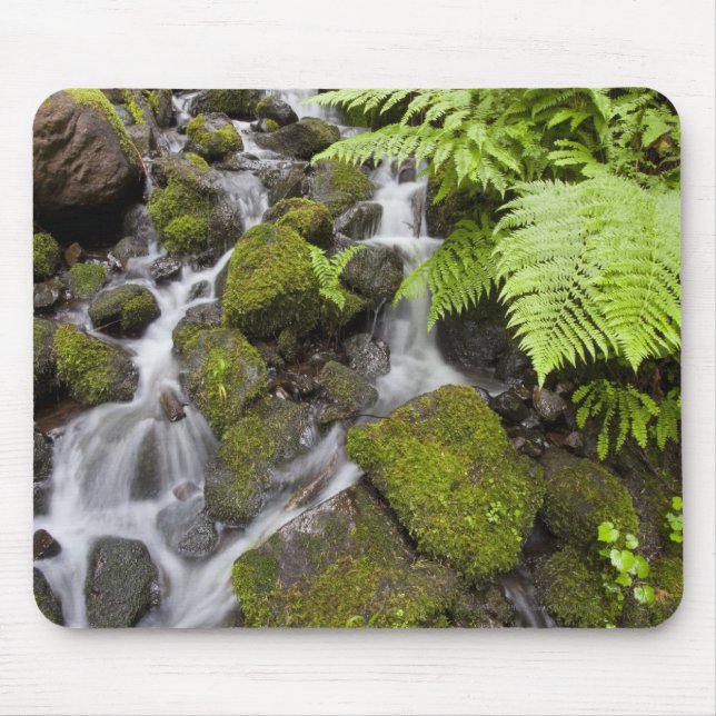 Moss covered rocks with blurred water and ferns mouse mat (Front)