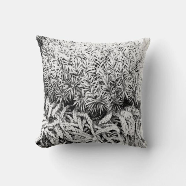 Moss drawing mono art pillow (Front)