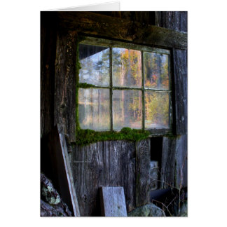 moss framed panes
