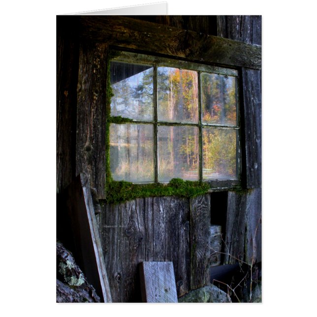moss framed panes (Front)