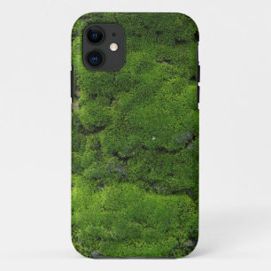 Moss Green iPhone 11 Case