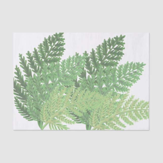 Moss Green Fern Tissue Paper (Front)