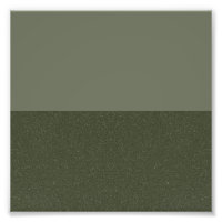 Moss Green Split Custom Photo Enlargement