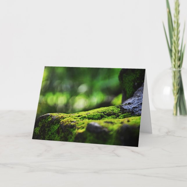 Moss growing on rocks Greeting Cards (Front)
