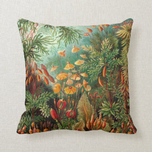 Moss (Muscinae) by Haeckel Cushion
