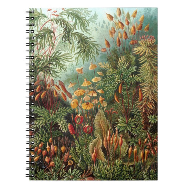 Moss (Muscinae) by Haeckel Notebook (Front)