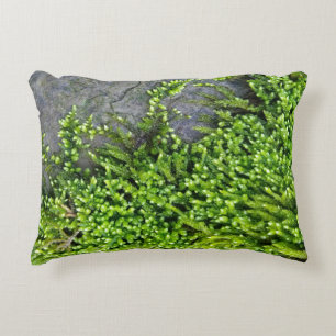 Moss on stone (Entodon seductrix) Decorative Cushion