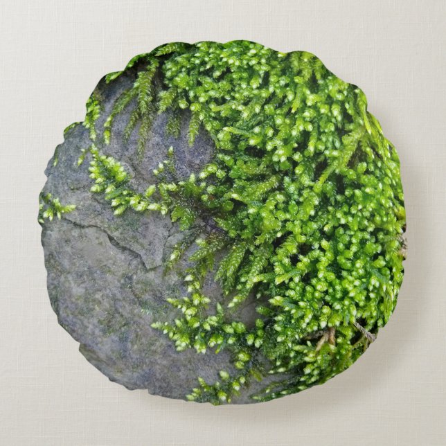 Moss on stone (Entodon seductrix) Round Cushion (Front)