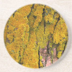 Moss on Tree Bark Coaster