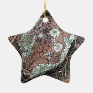 Moss rock lichen ceramic tree decoration