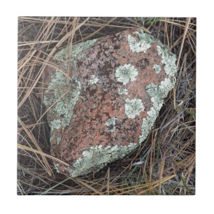 Moss rock lichen tile