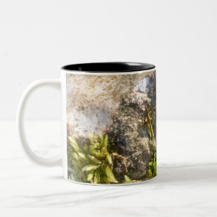 Moss Rock Mug 