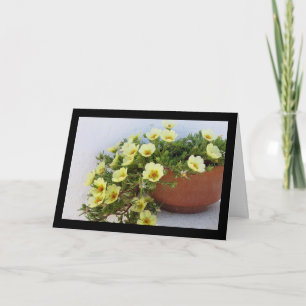 Moss-rose Purslane, Succulent Flowering Plant Card