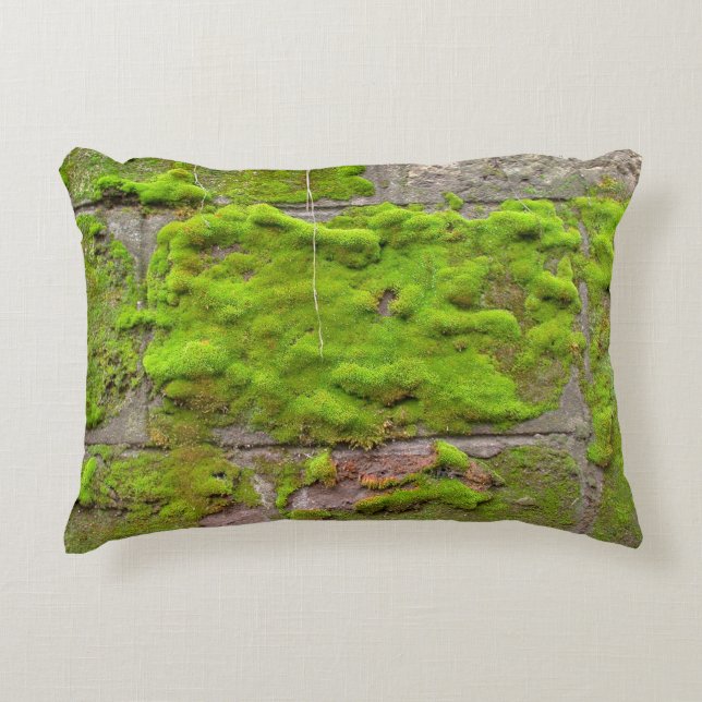Moss wall green rock texture decorative cushion (Front)