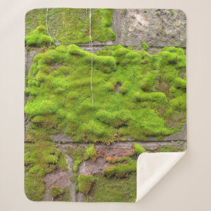 Moss wall green rock texture sherpa blanket