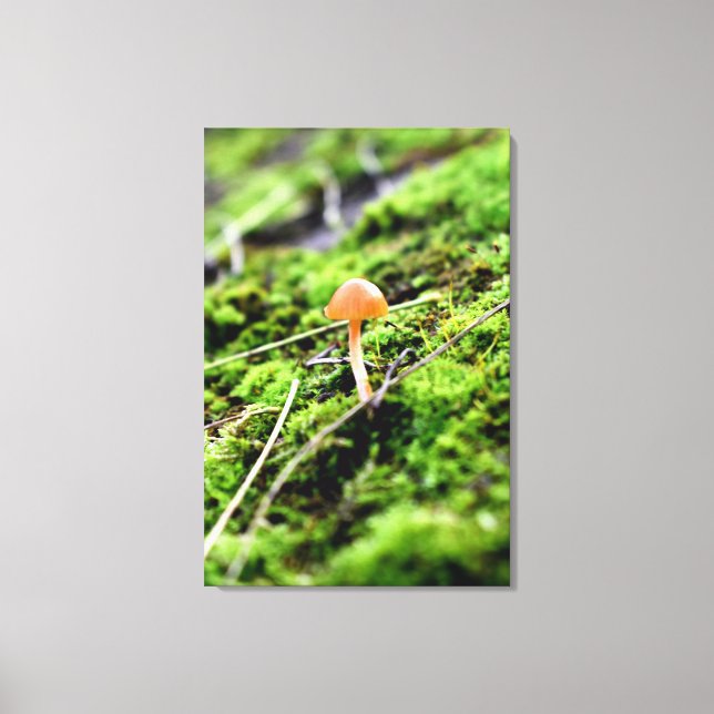 Mosses and Lichens with tiny Mushroom Canvas Print (Front)