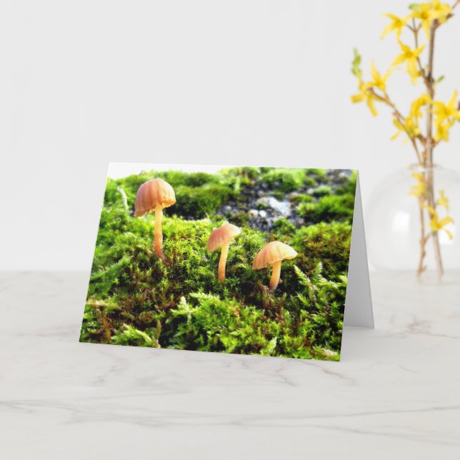Mosses and Lichens with tiny Mushrooms Card (Yellow Flower)