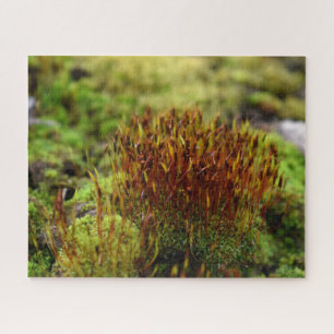 Mosses Jigsaw Puzzle