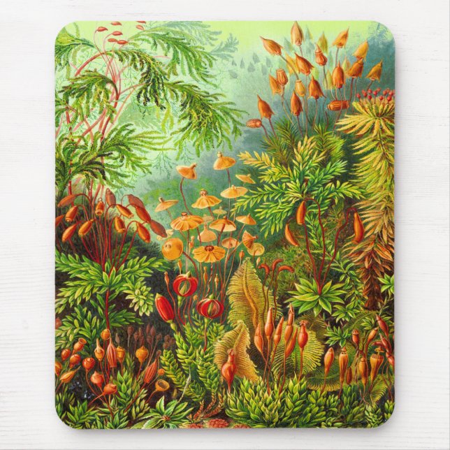 Mosses Mouse Mat (Front)