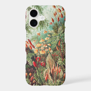 Mosses, Muscinae Laubmoose by Ernst Haeckel
