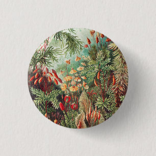 Mosses, Muscinae Laubmoose by Ernst Haeckel 3 Cm Round Badge