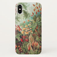 Mosses, Muscinae Laubmoose by Ernst Haeckel