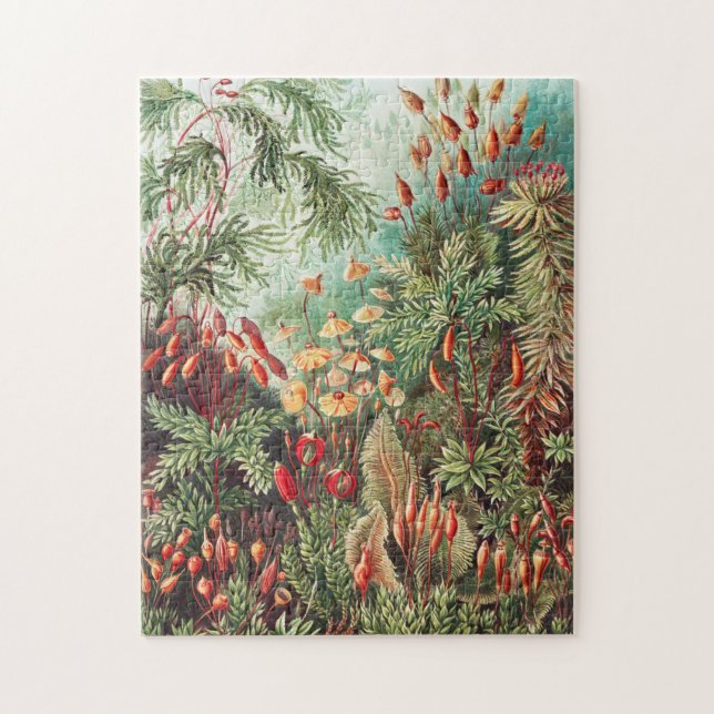 Mosses, Muscinae Laubmoose by Ernst Haeckel Jigsaw Puzzle (Vertical)