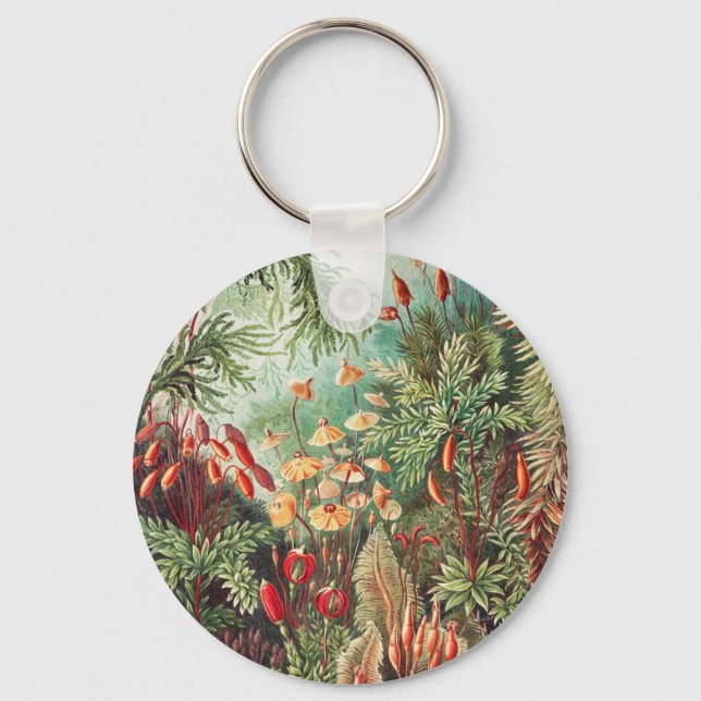 Mosses, Muscinae Laubmoose by Ernst Haeckel Key Ring (Front)