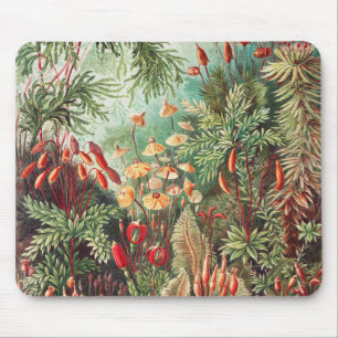 Mosses, Muscinae Laubmoose by Ernst Haeckel Mouse Mat