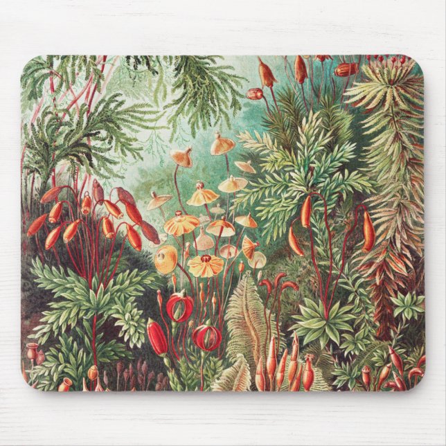 Mosses, Muscinae Laubmoose by Ernst Haeckel Mouse Mat (Front)