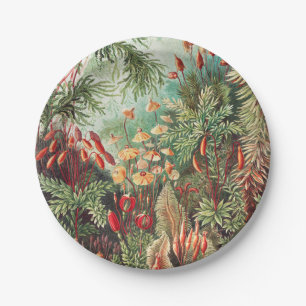 Mosses, Muscinae Laubmoose by Ernst Haeckel Paper Plate