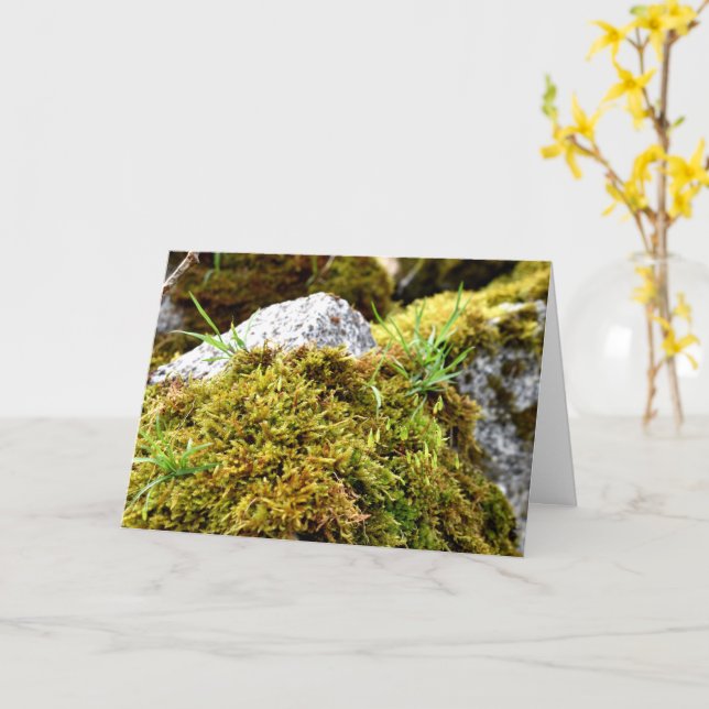 Mosses , Spring awakening Card (Yellow Flower)