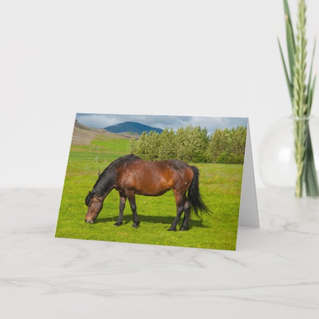 Mossfellsbaer Icelandic Horse Card (Front)