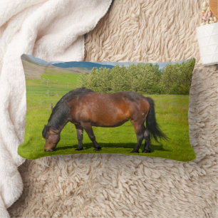Mossfellsbaer Icelandic Horse Lumbar Cushion
